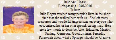 Julie Ann Hogan
Birt...