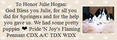 To Honor Julie Hogan...