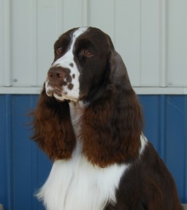 kona portrait 091111