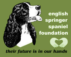 English Springer Spaniel Field Trial Association Foundation